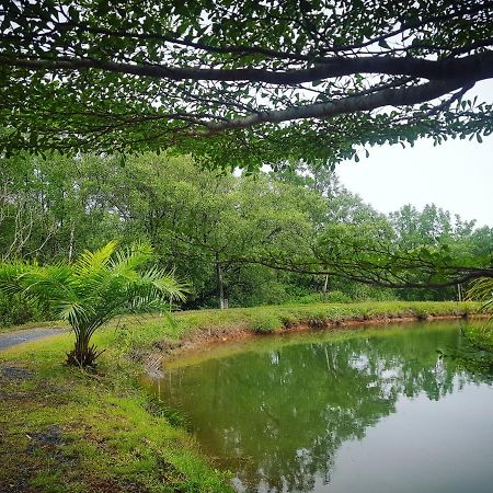 Calm At Bangphat Bor Saen Exterior photo